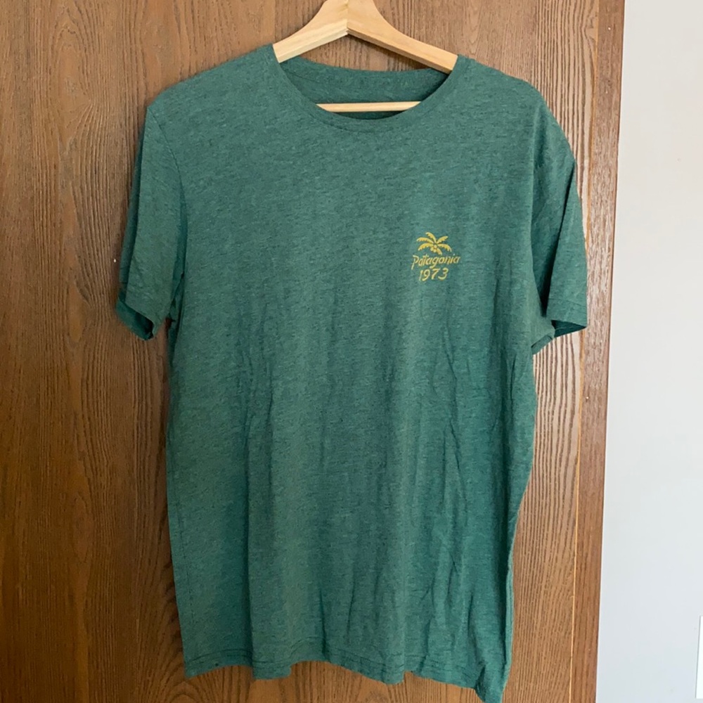 Men's Patagonia Slim Fit Tee